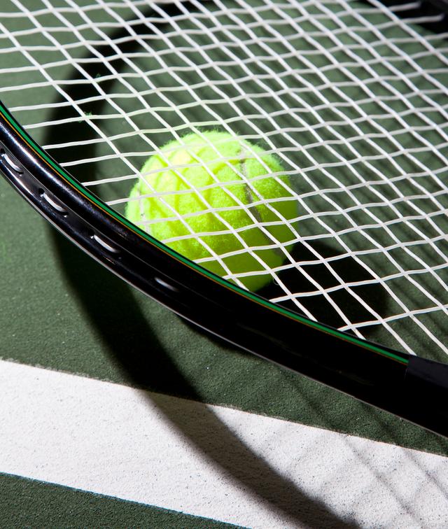 险与哈兰德 险与哈兰德